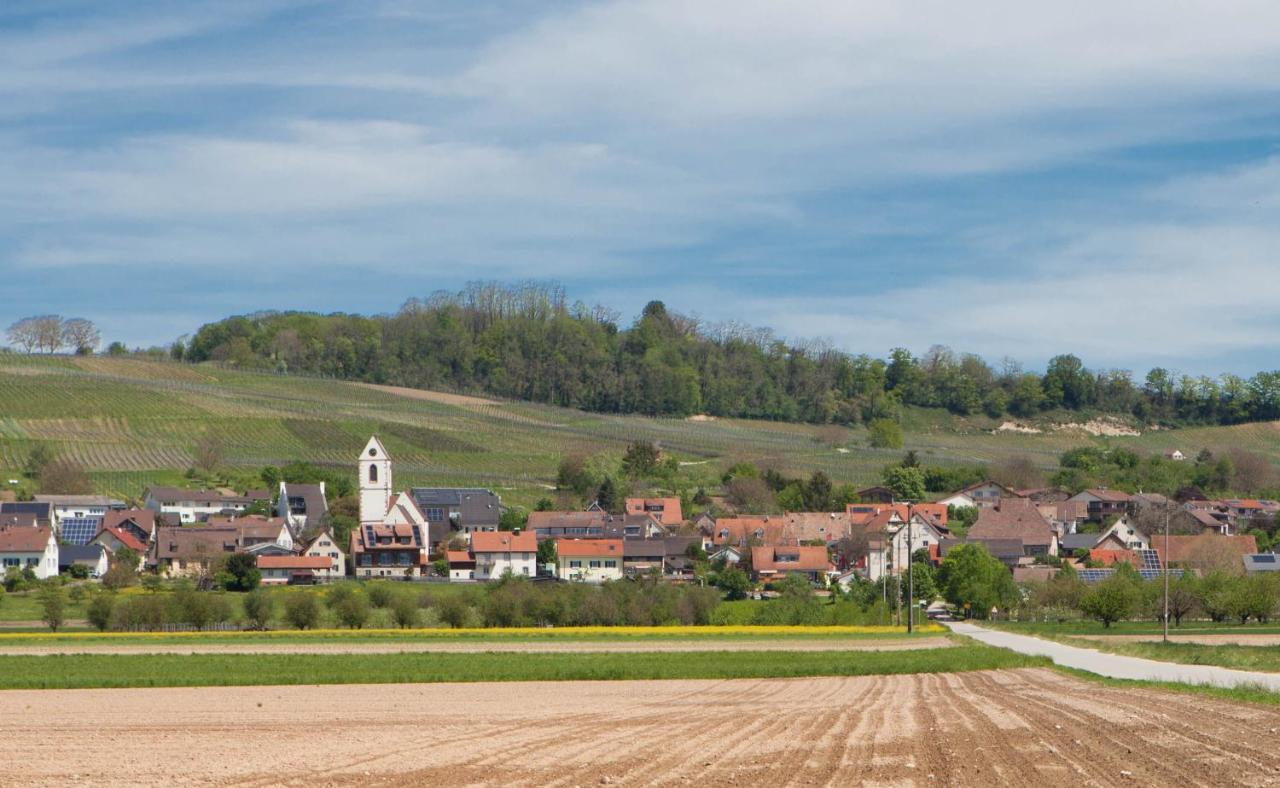 Ferienwohnung In Sueddeutschland Fischingen Esterno foto